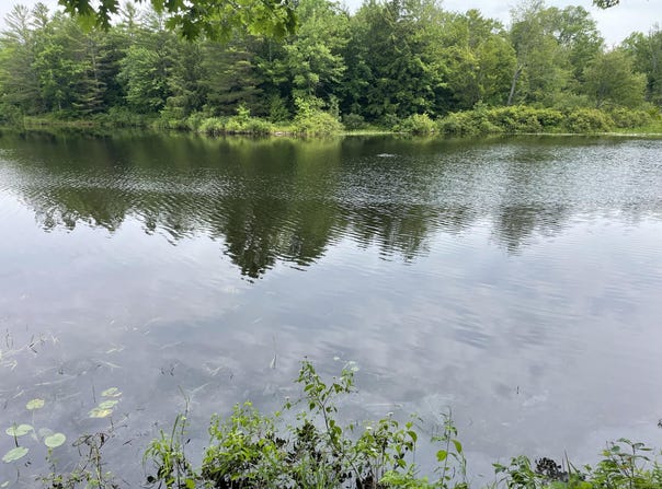 0 Hartland Avenue, Pittsfield, ME 04967
