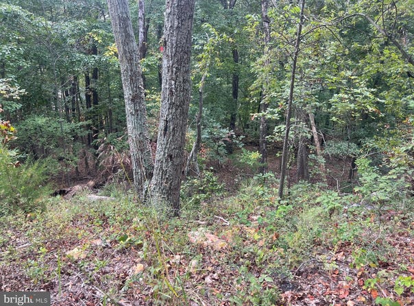 PANORAMA VIEW lot: 41, STANLEY, VA 22851