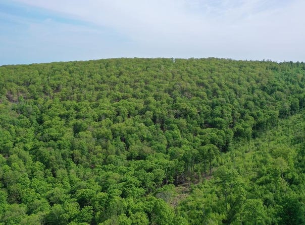 000 Hwy 44, Oswayo, PA 16915