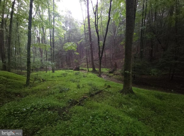 0 SPRIGGLE HOLLOW ROAD, ELLIOTTSBURG, PA 17024