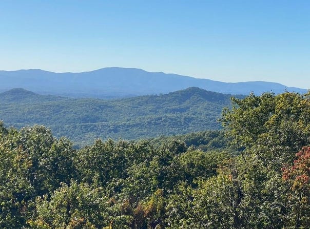 #242 Kittatinny Drive, Mineral Bluff, GA 30559