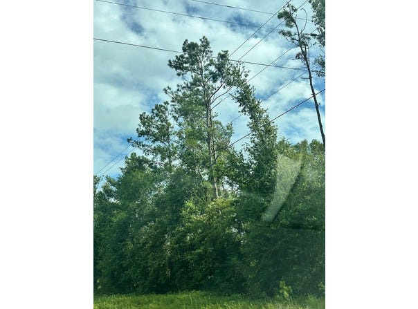 9528 US Hwy 19, Perry, FL 32348