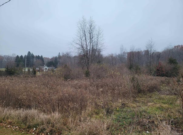 10140 Fairway Drive, Jerome, MI 49249