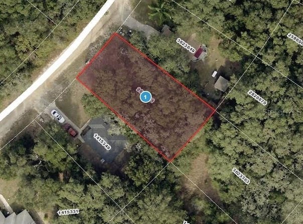 PALM STREET, LADY LAKE, FL 32159