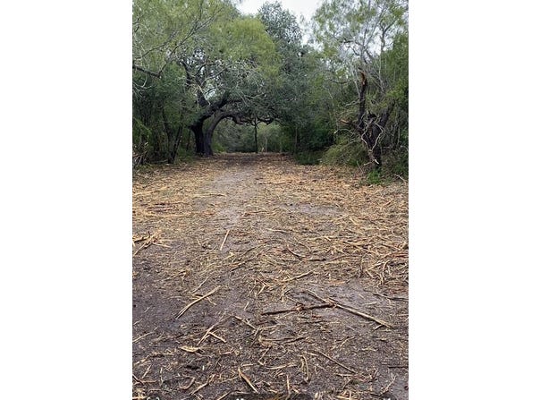 Leslie Lane, Beeville, TX 78102