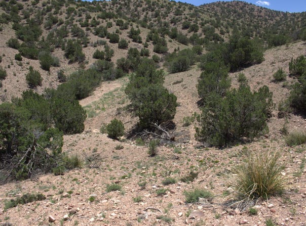 Tres Amigos Road, Placitas, NM 87043