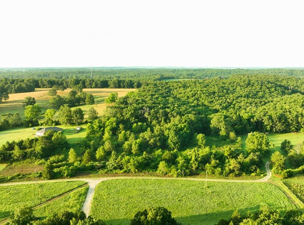 TBD Private Road 5346, Willow Springs, MO 65793