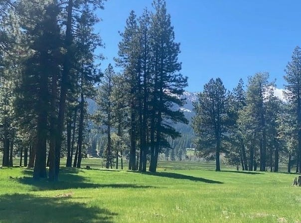 581 Redtail Loop lot: 36, Clio, CA 96106