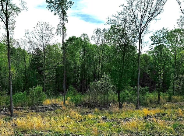 10 Conner Ridge Road, Efland, NC 27243