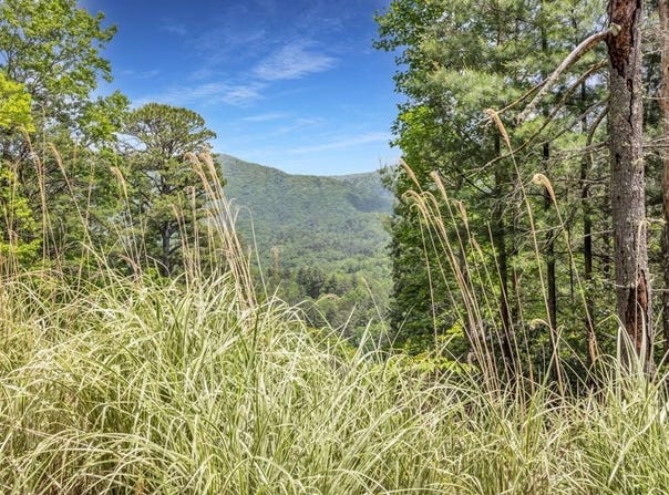376 Eagles Rest, BLAIRSVILLE, GA 30512