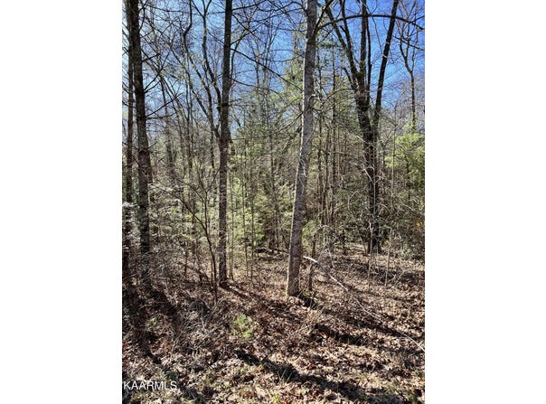 140 Natchez Circle, Crossville, TN 38558