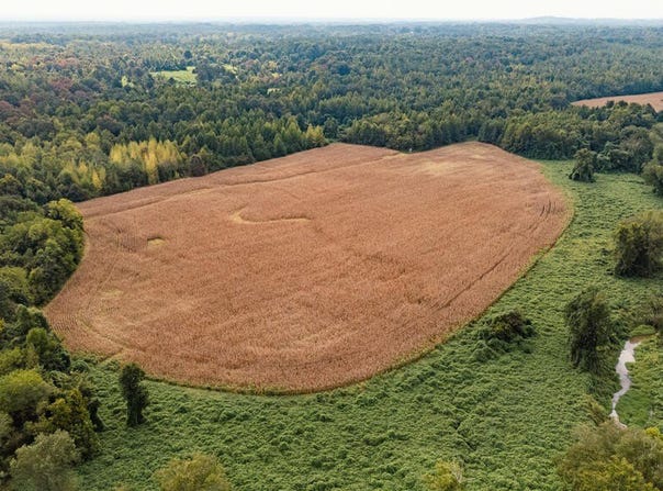 Hebron Rd, MS 38642