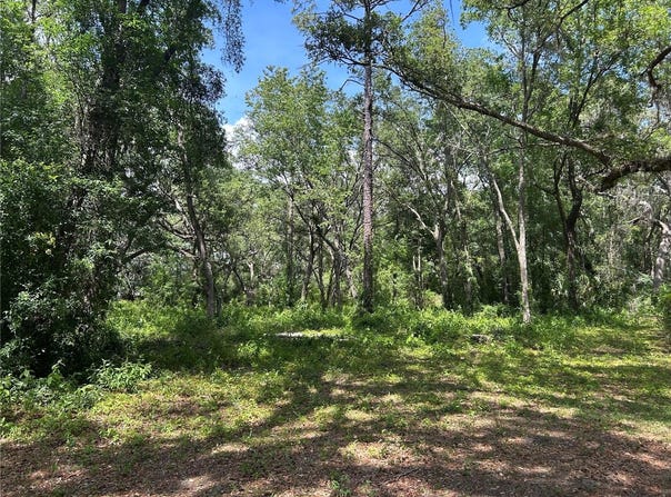 Tbd (lot #25) SE 192ND COURT, MORRISTON, FL 32668