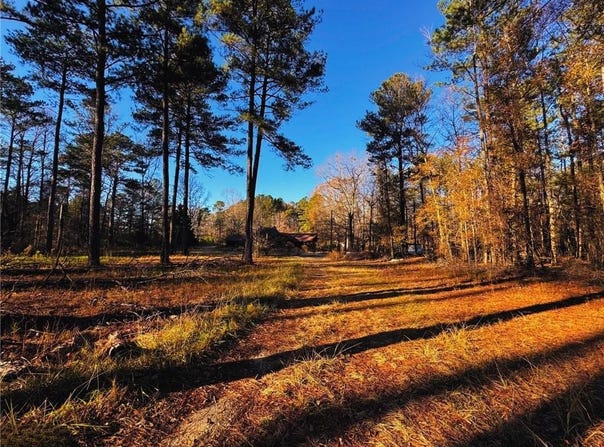 1930 Locust Grove Road, Griffin, GA 30223