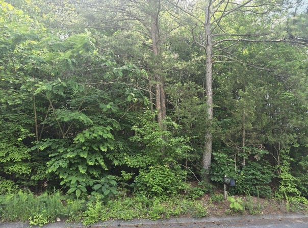 3302 Ridgeway Drive NW, Cleveland, TN 37312