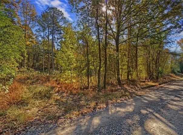 Lot 6 Melvin Lane, Dover, AR 72837