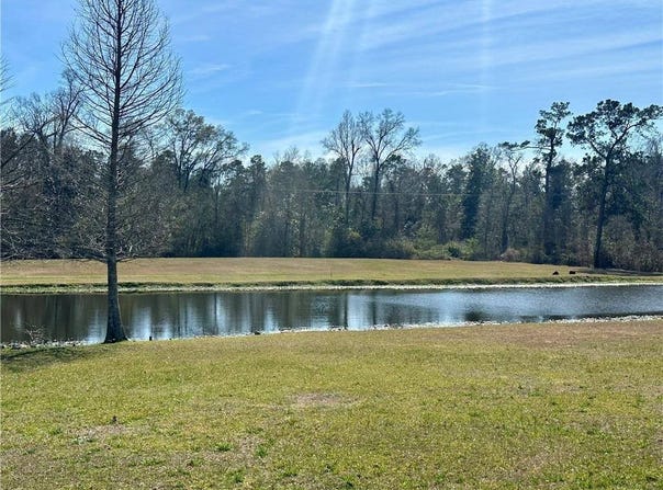 29752 Clinton Threeton Dr, Albany, LA 70711