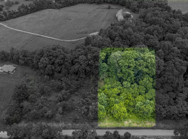 Lot 8 Clear Springs Road, Limestone, TN 37681