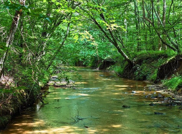 Tbd Airport Rd, Bassett, VA 24055
