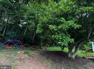 131 CEDAR HILL LANE, CLEAR BROOK, VA 22624