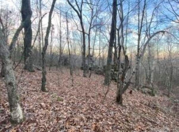 Whiskey Creek Lane, Batesville, AR 72501