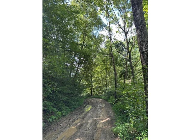 1000 Howard Fork Road, Gunlock, KY 41465