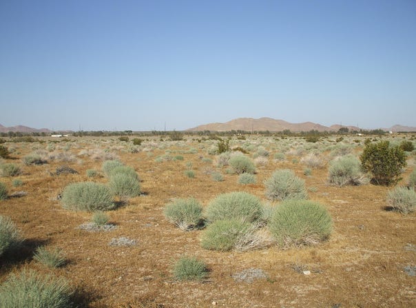 N Vim, Rosamond, CA 93560