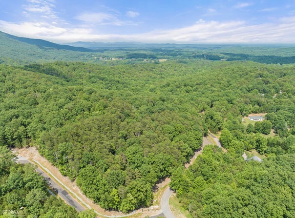 #37 Stone Hearth Drive, Cleveland, GA 30528