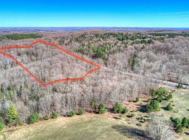 Parcel C Honey Hollow Road, Bellaire, MI 49615
