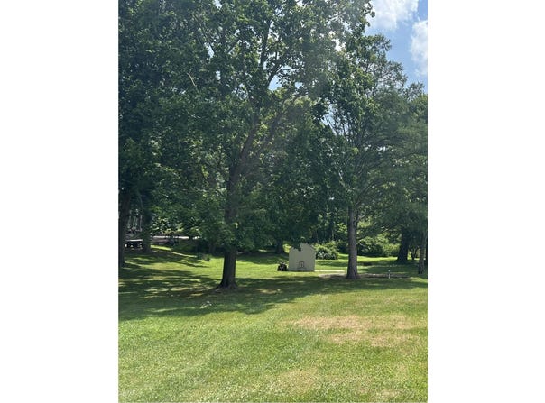 V/L S Blossom Lake Drive, Colon, MI 49040