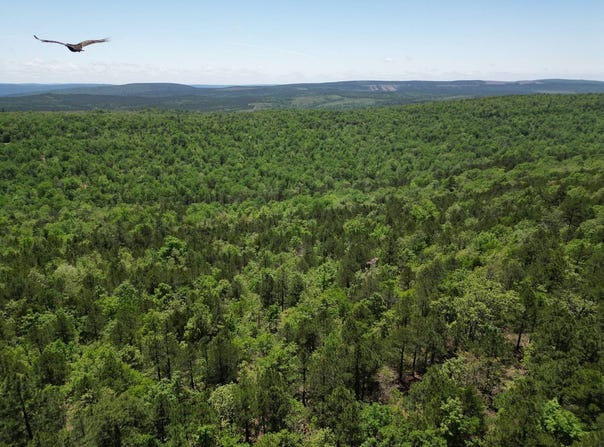 TRACT 40 TRAIL RIDGE ROAD, Albion, OK 74571