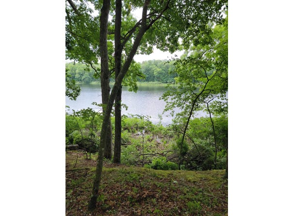 5133 N Waite Drive, Irons, MI 49644