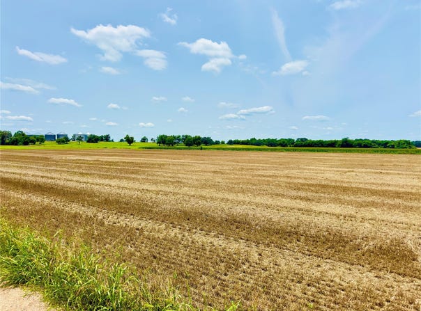 Tbd1 FM 406, Buckholts, TX 76518