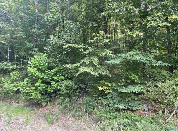 Lot 9 Ridge Trail, Gurley, AL 35748