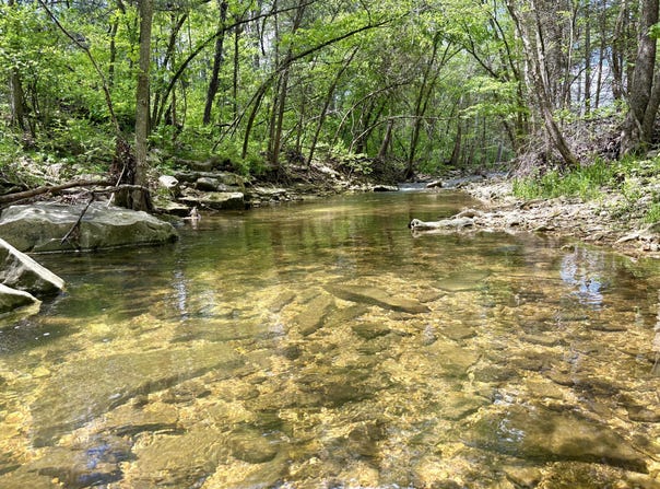 000 Tbd E State Hwy 76, Bradleyville, MO 65614