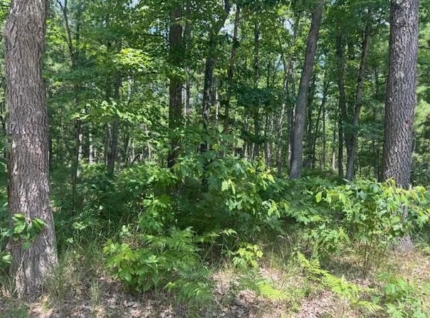Vl Cleveland Drive, Bitely, MI 49309