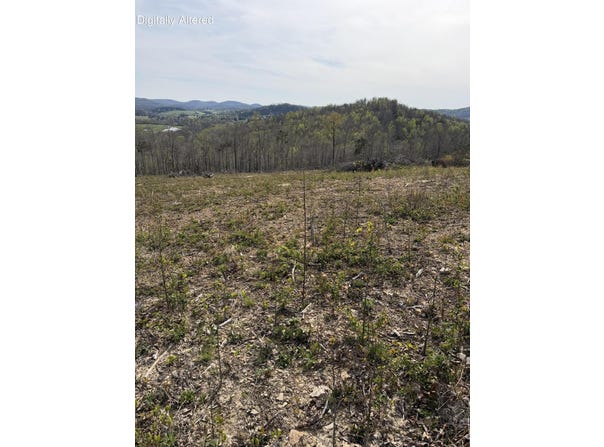 Track 4 White Rock Road, Mt Vernon, KY 40456