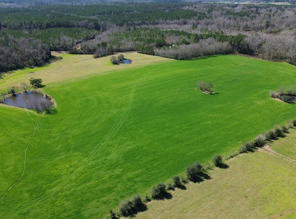 557 Bass Laird Road Tract B, Prentiss, MS 39474