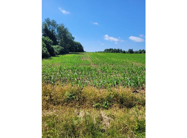 36th Ave, Paw Paw, MI 49079