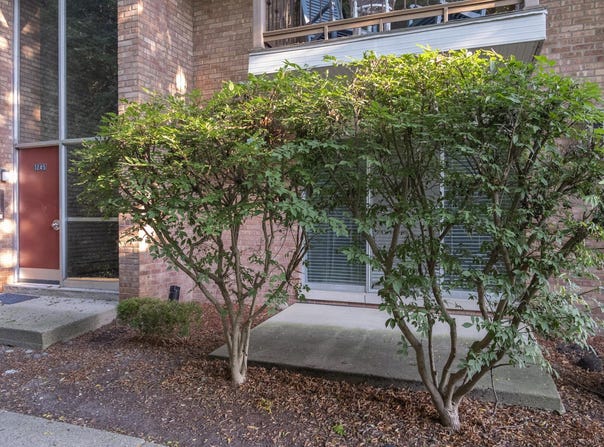 1245 Island Drive, Ann Arbor, MI 48105