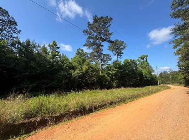 Lewis Drive lot: #9, Georgetown, GA 39854