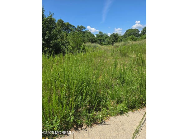 159 Littleworth Road, Manahawkin, NJ 08050