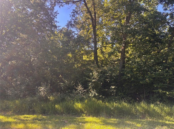 Panorama Road, Panora, IA 50216