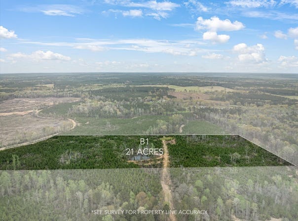 Parcel 1 Stephens Cemetery Rd., Silver Creek, MS 39663