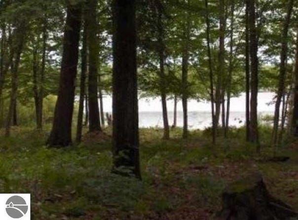 0 Cunningham Road, Kalkaska, MI 49646