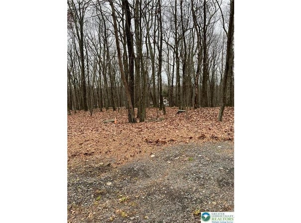 302 Traverse Road, Lehman Twp, PA 18328