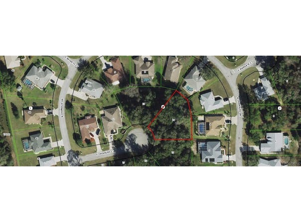 2572 E Chivalry Court, Hernando, FL 34442