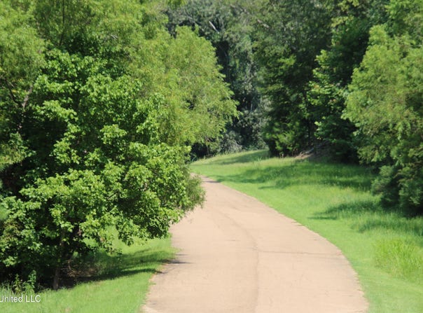 91 Moonlight Hollow, Flora, MS 39071