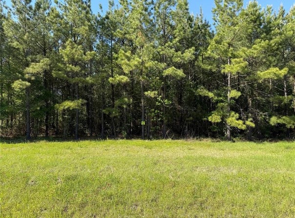 102 Faith Plantation Drive, Princeton, LA 71067