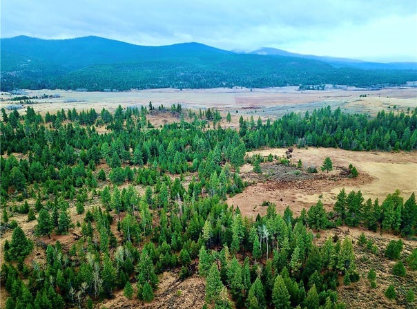 Strandskov Road, MT 59639